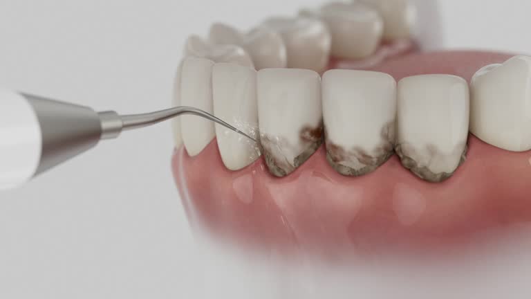 Reliable Dental contractor in White Settlement, TX by Dentist Open Now